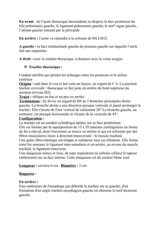 En avant : de l’aorte thoracique descendante se dispose la face postérieur du
hile pulmonaire gauche, le ligament pulmonaire gauche, le nerf vague gauche,
l’atrium gauche entouré par le péricarde.

En arrière : l’aorte va répondre à la colonne de D4 à D12.

A gauche : la face médiastinale gauche du poumon gauche sur laquelle l’aorte
fait une empreinte.

A droit : avec le conduit thoracique, à distance avec la veine azygos.

    Trachée thoracique :

Conduit aérifère qui permet les échanges entre les poumons et le milieu
extérieur
Origine : naît dans le cou et fait suite au larynx, en regard de C 6. La jonction
trachée cervicale / thoracique se fait juste en arrière du bord supérieur du
sternum (niveau D2).
Trajet : oblique en bas et un peu en arrière
Terminaison : Se divise en regard de D4 en 2 bronches principales droite
gauche. La bronche droite a une direction presque verticale et parait prolonger la
trachée. Elle s'écarte de l'axe vertical de seulement 20°.La bronche gauche, au
contraire, est presque horizontale et s'écarte de la verticale de 45°.
Configuration :
La trachée est un conduit cylindrique aplatie sur sa face postérieure.
Elle est formée par la superposition de 15 à 20 anneaux cartilagineux en forme
de fer à cheval, dont l'ouverture se trouve en arrière et qui est refermée par des
fibres musculaires lisses à direction transversale : le muscle trachéal.
Une gaine fibro-élastique enveloppe et solidarise tous ces éléments. Elle forme
entre les anneaux le ligament inter-annulaire et en arrière, au niveau du muscle
trachéal, le ligament transverse.
Une muqueuse mince et lisse, de type respiratoire (à cellules ciliées) la tapisse
entièrement sur sa face interne. Cette muqueuse est de couleur blanc rosé.

Longueur : environ 6 cm. Diamètre : 2 cm.

Rapports :

En arrière :
Face antérieure de l'œsophage qui déborde la trachée sur sa gauche, d'où
formation d'un angle trachéo-œsophagien gauche où chemine le nerf récurrent
gauche.
 