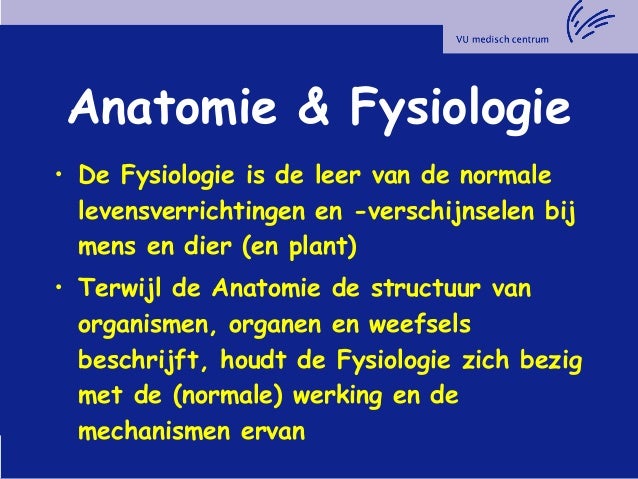Anatomie en fysiologie