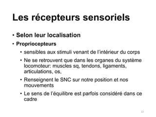 Anatomie et physiologie des organes de sens.pdf