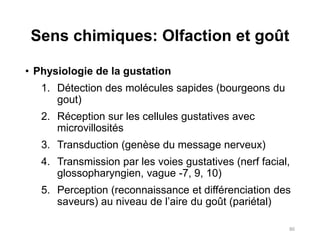 Anatomie et physiologie des organes de sens.pdf