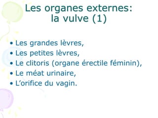 Anatomiegynecologie ppt Anatomiegynecologie ppt
