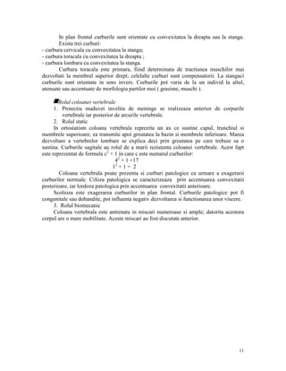 In plan frontal curburile sunt orientate cu convexitatea la dreapta sau la stanga.
Exista trei curburi:
- curbura cervicala cu convexitatea la stanga;
- curbura toracala cu convexitatea la dreapta ;
- curbura lombara cu convexitatea la stanga.
Curbura toracala este primara, fiind determinata de tractiunea muschilor mai
dezvoltati la membrul superior drept; celelalte curburi sunt compensatorii. La stangaci
curburile sunt orientate in sens invers. Curburile pot varia de la un individ la altul,
atenuate sau accentuate de morfologia partilor moi ( grasime, muschi ).

gRolul coloanei vertebrale
1. Protectia maduvei invelita de meninge se realizeaza anterior de corpurile
vertebrale iar posterior de arcurile vertebrale.
2. Rolul static
In ortostatism coloana vertebrala reprezita un ax ce sustine capul, trunchiul si
membrele superioare; ea transmite apoi greutatea la bazin si membrele inferioare. Marea
dezvoltare a vertebrelor lombare se explica deci prin greutatea pe care trebuie sa o
sustina. Curburile sagitale au rolul de a marii rezistenta coloanei vertebrale. Acest fapt
este reprezentat de formula c2 + 1 in care c este numarul curburilor:
42 + 1 =17
12 + 1 = 2
Coloana vertebrala poate prezenta si curburi patologice ca urmare a exagerarii
curburilor normale. Cifoza patologica se caracterizeaza prin accentuarea convexitatii
posterioare, iar lordoza patologica prin accentuarea convexitatii anterioare.
Scolioza este exagerarea curburilor in plan frontal. Curburile patologice pot fi
congenitale sau dobandite, pot influenta negativ dezvoltarea si functionarea unor viscere.
3. Rolul biomecanic
Coloana vertebrala este antrenata in miscari numeroase si ample; datorita acestora
corpul are o mare mobilitate. Aceste miscari au fost discutate anterior.

11

 