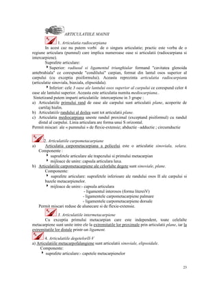 ARTICULATIILE MAINII
1. Articulatia radiocarpiana
In acest caz nu putem vorbi de o singura articulatie; practic este vorba de o
regiune articulara (pumnul) care implica numeroase oase si articulatii (radiocarpiana si
intercarpiene).
Suprafete articulare:
4Superior: radiusul si ligamentul triunghiular formand "cavitatea glenoida
antebrahiala" ce corespunde "condilului" carpian, format din lantul osos superior al
carpului (cu exceptia pisiformului). Aceasta reprezinta articulatia radiocarpiana
(articulatie sinoviala, biaxiala, elipsoidala).
4Inferior: cele 3 oase ale lantului osos superior al carpului ce corespund celor 4
oase ale lantului superior. Aceasta este articulatia numita mediocarpiana..
Sintetizand putem imparti articulatiile intercarpiene in 3 grupe :
a) Articulatiile primului rand de oase ale carpului sunt articulatii plane, acoperite de
cartilaj hialin.
b) Articulatiile randului al doilea sunt tot articulatii plane.
c) Articulatia mediocarpiana uneste randul proximal (exceptand pisiformul) cu randul
distal al carpului. Linia articulara are forma unui S orizontal.
Permit miscari ale « pumnului » de flexie-extensie; abductie –adductie ; circumductie
2. Articulatiile carpometacarpiane
Articulatia carpometacarpiana a policelui este o articulatie sinoviala, selara.
Componente :
4 suprafetele articulare ale trapezului si primului metacarpian
4 mijloace de unire: capsula articulara laxa.
b) Articulatiile carpometacarpiene ale celorlalte degete sunt sinoviale, plane.
Componente:
4 suprafete articulare: suprafetele inferioare ale randului osos II ale carpului si
bazele metacarpienelor.
4 mijloace de unire:- capsula articulara
- ligamentul interosos (forma litereiV)
- ligamentele carpometacarpiene palmare
- ligamentele carpometacarpiene dorsale
Permit miscari reduse de alunecare si de flexie-extensie.
a)

3. Articulatiile intermetacarpiene
Cu exceptia primului metacarpian care este independent, toate celelalte
metacarpiene sunt unite intre ele la extremitatile lor proximale prin articulatii plane, iar la
extremitatile lor distale printr-un ligament.
4. Articulatiile degetelorII-V
a) Articulatiile metacarpofalangiene sunt articulatii sinoviale, elipsoidale.
Componente:
4 suprafete articulare:- capetele metacarpienelor
23

 