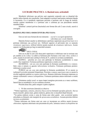 LUCRARE PRACTICA 6. Bazinul osos; articulatii
Membrele inferioare sau pelvine sunt segmente corporale care se desprind din
partile infero-laterale ale trunchiului. Sunt adaptate in primul rand pentru statiunea bipeda
si locomotie. Ca si membrele superioare prezinta o portiune care le leaga de trunchi,
numita centura membrului si o portiune care o continua pe cea precedenta numita
membrul liber.
Scheletul centurii pelvine (bazinului) este format din cele 2 oase coxale, sacrul si
coccigele.
BAZINUL/PELVISUL OSOS/CENTURA PELVIANA
Este un inel osos format din trei elemente: - sacrul si coccigele (posterior)
- cele doua oase coxale (lateral).
Datorita formei oaselor se delimiteaza o portiune superioara sau pelvisul mare si o
portiune inferioara sau pelvisul mic. Orificiul superior al pelvisului mic se numeste
stramtoare superioara, orificiul inferior poarta numele de stramtoare inferioara. Aceste
aspecte vor fi discutate pe larg in materialul urmator.
OSUL COXAL
Este un os plat in care cele doua parti superioara si inferioara sunt in torsiune una
pe cealalta ca la o elice. La adult se formeaza prin fuziunea a trei oase: ilion, ischion si
pube, reunite la nivelul unui cartilaj in forma de Y, centrat in cavitatea acetabulului.
ILIONUL - prezinta un corp care participa la formarea acetabulului si aripa
osului iliac (superior). Formeaza portiunea superioara a osului coxal.
ISCHIONUL - are un corp care participa la formarea acetabulului si o ramura.
Intre corp si ramura se gaseste tuberozitatea ischiadica. Formeaza portiunea posteroinferioara a osului coxal.
PUBELE are un corp care participa la formarea acetabulului. El se uneste cu
ischionul la nivelul eminentei iliopectinee. Prezinta o ramura superioara care se uneste la
nivelul unghiului pubelui cu ramura inferioara. Ramura inferioara formeaza impreuna cu
ramura ischionului ramura ischiopubiana. Formeaza portiunea antero-inferioara a osului
coxal.
Orientarea osului coxal: se asaza inapoi marginea prevazuta cu o mare scobitura,
lateral fata cu acetabulul si in jos scobitura acestuia.
Prezinta doua fete, patru margini si patru unghiuri.
1. Pe fata exterioara (laterala) se observa:
wPartea superioara, concava, este fosa iliaca externa formand suprafata gluteala. Aici se
insera muschii: gluteu mare, gluteu mijlociu, gluteu mic si muschiul drept femural;
wIn partea mijlocie exista o zona de forma unei sfere goale; este acetabulul pentru
articulatia cu femurul; este marginit de spranceana acetabulara. Aceasta prezinta inferior
incizura acetabulului;
wPartea inferioara are forma unui arc osos ce inconjoara un orificiu numit foramen
obturatum; regiunea anterioara este prezentata de pube, urmeaza ramura ischiopubina iar

25

 