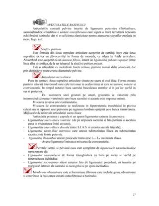 ARTICULATIILE BAZINULUI
Articulatiile centurii pelvine intarite de ligamente puternice (iliolombare,
sacroischiadice) constituie o unitate osteofibroasa care sigura o mare rezistenta necesara
echilibrului bazinului dar si o suficienta elasticitate pentru atenuarea socurilor produse in
mers, fuga, salt.
Simfiza pubiana
Este formata din doua suprafate articulare acoperite de cartilaj; intre cele doua
suprafete exista un fibrocartilaj in forma de moneda, ce adera la fetele articulare.
Ansamblul este acoperit cu un manson fibros, intarit de ligamentul pubian superior (intre
linia alba si simfiza, de la un tubercul la altul) si pubian arcuat.
Este o articulatie cu mobilitate foarte redusa, permite numai slabe alunecari, dar
prin destindere poate creste diametrele pelvine.
Articulatia sacro-iliaca
Pune in contact doua suprafete articulare situate pe sacru si osul iliac. Forma osoasa
permite miscari interesand toate cele trei oase in acelasi timp si care se numesc nutatie si
contranutatie. In timpul nutatiei baza sacrului basculeaza anterior si in jos iar varful in
sus si posterior.
Ex: sustinerea unei greutati pe umeri, greutatea se transmite prin
intermediul coloanaei vertebrale spre baza sacrului si aceasta este impinsa inainte.
Miscarea inversa este contranutatia.
Miscarea de contranutatie se realizeaza in hiperextensia trunchiului in pozitia
culcat sau in repausul unei persoane pe regiunea lombara sprijinit pe o banca transversala.
Mijloacele de unire ale articulatiei sacro-iliace
Articulatia prezinta o capsula si un aparat ligamentar extrem de puternice:
- Ligamentele sacro-iliace ventrale (de pe aripioara sacrului si fata pubiana a acestuia
pana in vecinatatea liniei arcuate);
- Ligamentele sacro-iliace dorsale (intre S.I.A.S. si creasta sacrala laterala);
- Ligamentul sacro-iliac interosos care uneste tuberozitatea iliaca cu tuberozitatea
sacrata; este foarte puternic.
- ligamentul iliolombar uneste procesele transverse L4 - L5 cu creasta iliaca.
Aceste ligamente limiteaza miscarea de contranutatie.

-

Peretele lateral si pelvisul osos este completat de ligamentele sacroischiadice
reprezentate de:
Ligamentul sacrotuberal de forma triunghiulara cu baza pe sacru si varful pe
tuberozitatea ischiadica
Ligamentul sacrospinos situat anterior fata de ligamentul precedent, cu insertie pe
marginile laterale ale sacrului si coccigelui si pe spina ischiadica.

Membrana obturatoare este o formatiune fibroasa care inchide gaura obturatoare
si contribuie la realizarea unitatii osteofibroase a bazinului.

27

 