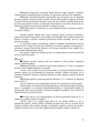 Muschiul longissimus (muschiul lungul dorsal), ocupa santurile vertebrale.
Uneste bazinul cu fata posterioara a coastelor si cu procesele transverse ale vertebrelor.
Muschiul iliocostal (muschiul sacrolombar) este un muschi care se desprinde
din masa comuna, incruciseaza toate coastele succesiv pana ajunge in regiunea cervicala.
Un prim fascicul se termina pe ultimele 6 coaste; de aici ia nastere al doilea fascicul care
se termina pe primele 6 coaste, in continuare luand nastere un al treilea fascicul care se
termina pe apofizele transverse ale ultimelor 4 vertebre cervicale.
Muschiul spinal cu localizarea cea mai mediala prezinta trei portiuni: toracala,
cervicala si cefalica.
Muschii spatelui studiati pana acum formeaza patura musculara profunda a
regiunii posterioare a trunchiului. Ei au un brat scurt de parghie deci o putere scazuta de a
efectua o extensie a coloanei vertebrale, plecand din pozitia orizontala , dar au o mare
precizie de actiune.
In ortostatism mentin verticalitatea coloanei vertebrale reechilibrand in fiecare
moment micile variatii de pozitie ale vertebrelor. Ei lucreaza aproape in permanenta in
ortostatism, aceasta fiind posibil deoarece au fiziologia muschilor tonici capabili de a
lucra un timp indelungat fara a obosi.
De exemplu: capul este mentinut pe gat o zi intreaga datorita acestor muschi fara
ca noi sa realizam aceasta.
§Planul II
sCuprinde muschiul splenius care este impartit in doua portiuni: spleniusul
capului, spleniusul gatului.
Spleniusul capului, se intinde de la procesele spinoase C6 T7 pana la jumatatea
laterala a liniei nuchale superioare si mastoida.
Actiune: daca ia punct fix pe coloana dorsala, in contractie bilaterala realizeaza
extensia capului pe git (antrenand de asemenea extensia coloanei cervicale), iar in
contractie unilaterala realizeaza inclinarea laterala si rotatia capului si gatului de partea
contractiei.
Spleniusul gatului se insera pe apofizele spinoase T5 T7 si respectiv pe apofizele
transverse C1 C3.
Actiune: identica cu cea a spleniusului capului, fara realizarea miscarilor capului.
Sunt sinergici cu muschii sternocleidomastoidian si semispinalul capului de partea
opusa si antagonisti cu muschiul sternocleidomastoidian si semispinalul capului de
aceeasi parte. Intre cei doi muschi se formeaza triunghiul intersplenic. Sunt inervati de
ramuri dorsale ale nervilor cervicali.

sMuschiul ridicator al scapulei(angular) se insera pe procesele transverse C1 C5
respectiv pe unghiul superior al scapulei.
Actiune: daca se ia scapula drept punct fix are actiune identica cu cea a
spleniusului gatului ( inclina coloana vertebrala de partea lui); daca se ia punct fix pe
coloana cervicala, ridica scapula (sinergic cu trapezul); imprima o miscare de rotatie a
scapulei in jurul unui ax ce trece prin unghiul lateral al scapulei, unghi ce ramane fix.

38

 