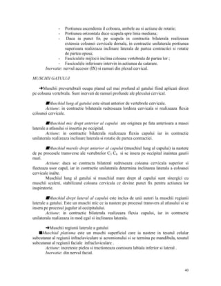 -

Portiunea ascendenta il coboara, ambele au si actiune de rotatie;
Portiunea orizontala duce scapula spre linia mediana;
Daca ia punct fix pe scapula in contractia bilaterala realizeaza
extensia coloanei cervicale dorsale, in contractie unilaterala portiunea
superioara realizeaza inclinare laterala de partea contractiei si rotatie
de partea opusa;
- Fasciculele mijlocii inclina coloana vertebrala de partea lor ;
- Fasciculele inferioare intervin in actiunea de catarare.
Inervatie: nervul accesor (IX) si ramuri din plexul cervical.
MUSCHII GATULUI
§Muschii prevertebrali ocupa planul cel mai profund al gatului fiind aplicati direct
pe coloana vertebrala. Sunt inervati de ramuri profunde ale plexului cervical.

sMuschiul lung al gatului este situat anterior de vertebrele cervicale.
Actiune: in contractie bilaterala redreseaza lordoza cervicala si realizeaza flexia
coloanei cervicale.

sMuschiul mic drept anterior al capului are originea pe fata anterioara a masei
laterale a atlasului si insertia pe occipital.
Actiune: in contractie bilaterala realizeaza flexia capului iar in contractie
unilaterala realizeaza inclinare laterala si rotatie de partea contractiei.
sMuschiul marele drept anterior al capului (muschiul lung al capului) ia nastere
de pe procesele transverse ale vertebrelor C3 C6 si se insera pe occipital inaintea gaurii
mari.
Actiune: daca se contracta bilateral redreseaza coloana cervicala superior si
flecteaza usor capul, iar in contractie unilaterala determina inclinarea laterala a coloanei
cervicale inalte.
Muschiul lung al gatului si muschiul mare drept al capului sunt sinergici cu
muschii scaleni, stabilizand coloana cervicala ce devine punct fix pentru actiunea lor
inspiratorie.
sMuschiul drept lateral al capului este inclus de unii autori la muschii regiunii
laterale a gatului. Este un muschi mic ce ia nastere pe procesul transvers al atlasului si se
insera pe procesul jugular al occipitalului.
Actiune: in contractie bilaterala realizeaza flexia capului, iar in contractie
unilaterala realizeaza in mod egal si inclinarea laterala.
§Muschii regiunii laterale a gatului
sMuschiul platisma este un muschi superficial care ia nastere in tesutul celular
subcutanat al regiunii infraclaviculare si acromionului si se termina pe mandibula, tesutul
subcutanat al regiunii faciale infraclaviculare .
Actiune: increteste pielea si tractioneaza comisura labiala inferior si lateral .
Inervatie: din nervul facial.

40

 