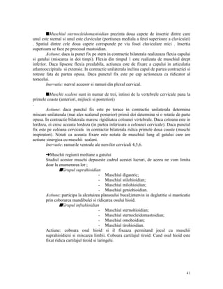 sMuschiul sternocleidomastoidian prezinta doua capete de insertie dintre care
unul este sternal si unul este clavicular (portiunea mediala a fetei superioare a claviculei)
. Spatiul dintre cele doua capete corespunde pe viu fosei claviculare mici . Insertia
superioara se face pe procesul mastoidian.
Actiune: daca ia punct fix pe stern in contractie bilaterala realizeaza flexia capului
si gatului (miscarea in doi timpi). Flexia din timpul 1 este realizata de muschiul drept
inferior. Daca lipseste flexia prealabila, actiunea este de fixare a capului in articulatia
atlantooccipitala si extensie. In contractie unilaterala inclina capul de partea contractiei si
roteste fata de partea opusa. Daca punctul fix este pe cap actioneaza ca ridicator al
toracelui.
Inervatie: nervul accesor si ramuri din plexul cervical.
sMuschii scaleni sunt in numar de trei, intinsi de la vertebrele cervicale pana la
primele coaste (anteriori, mijlocii si posteriori)
.
Actiune: daca punctul fix este pe torace in contractie unilaterala determina
miscare unilaterala (mai ales scalenul posterior) primii doi determina si o rotatie de parte
opusa. In contractie bilaterala maresc rigiditatea coloanei vertebrale. Daca coloana este in
lordoza, ei cresc aceasta lordoza (in partea inferioara a coloanei cervicale). Daca punctul
fix este pe coloana cervicala in contractie bilaterala ridica primele doua coaste (muschi
inspiratori). Notati ca aceasta fixare este notata de muschiul lung al gatului care are
actiune sinergica cu muschii scaleni.
Inervatie: ramurile ventrale ale nervilor cervicali 4,5,6.
§Muschii regiunii mediane a gatului
Studiul acestor muschi depaseste cadrul acestei lucrari, de aceea ne vom limita
doar la enumerarea lor ;
sGrupul suprahioidian
- Muschiul digastric;
- Muschiul stilohioidian;
- Muschiul milohioidian;
- Muschiul geniohioidian.
Actiune: participa la alcatuirea planseului bucal;intervin in deglutitie si masticatie
prin coborarea mandibulei si ridicarea osului hioid.
sGrupul infrahioidian
- Muschiul sternohioidian;
- Muschiul sternocleidomastoidian;
- Muschiul omohoidian;
- Muschiul tirohioidian.
Actiune: coboara osul hioid si il fixeaza permitand jocul cu muschii
suprahioidieni si miscarea limbii. Coboara cartilajul tiroid. Cand osul hioid este
fixat ridica cartilajul tiroid si laringele.

41

 