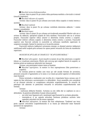 s Muschiul sternocleidomastoidian.
Actiune: daca ia punct fix pe craniu ridica portiunea mediala a claviculei si sternul
(muschi inspirator).
s Muschiul ridicator al scapulei.
Actiune: daca ia punct fix pe coloana cercvicala ridica scapula si rotatia interna a
acestuia.
s Muschiul romboid.
Actiune: daca ia punct fix pe coloana vertebrala determina adductie + rotatia
interna a omoplatului.
s Muschiul trapez.
Actiune: daca ia punct fix pe coloana cervicodorsala ansamblul fibrelor sale are o
actiune de adductie, apropiind scapula de linia mediana. Fasciculele sale au si actiune
proprie. Fasciculul superior ridica umarul si determina rotatia externa a scapulei.
Fasciculul inferior coboara scapula si determina rotatia externa a acesteia. Fasciculul
superior este frecvent solicitat in exercitiile ce utilizeaza membrele superioare in
suspensie (exemplu: batutul la masina) ca si in pozitia atarnat.
Fascicolul mijlociu (adductor) actioneaza sinergic cu dintatul anterior (abductor)
stabilizand astfel scapula prin actiunea lor opusa pentru miscarile de forta ale membrelor
superioare.
MUSCHII SCAPULARI AI UMARULUI “SCAPULOHUMERAL”
s Muschiul subscapular. Acest muschi ia nastere de pe fata anterioara a scapulei
(desen cu vizualizare anterioara), fibrele sale converg spre unghiul lateral al scapulei; se
termina printr-un tendon pe tuberculul mic humeral.
Actiune: este principalul rotator intern al bratului.
s Muschiul supraspinos. Ia nastere in fosa supraspinoasa (fata posterioara a
scapulei).
Se termina printr-un tendon care trece pe sub arcada formata de acromion,
procesul coracoid si ligamentele ce le unesc si se insera pe polul superior al tuberculului
mare humeral.
Partea terminala a tendonului este invelita de o importanta bursa seroasa care il
separa de fata inferioara a acromionului si a deltoidului. Acest ansamblu este considerat
ca un element articular ce completeaza articulatia scapulohumerala. In cazurile de
patologie (de aderente in particular) miscarile in articulatia scapulohumerala sunt
limitate.
Actiune:
- realizeaza abductia bratului. Actiunea sa este slaba dar se cupleaza cu cea a
deltoidului. In paralizia deltoidului il poate inlocui partial:
- are rolul unui ligament activ mentinand capul humeral in cavitatea glenoida;
- inserandu-se si pe capsula articulara limiteaza prinderea acestuia intre
suprafete articulare (rol de tensor capsular).
s Muschiul infraspinos. Ia nastere din fosa subspinoasa. Tendonul sau trece
peste capsula articulatiei scapulohumerala si se insera pe tuberculul mare humeral
(posterior de supaspinos).
Actiune:

46

 