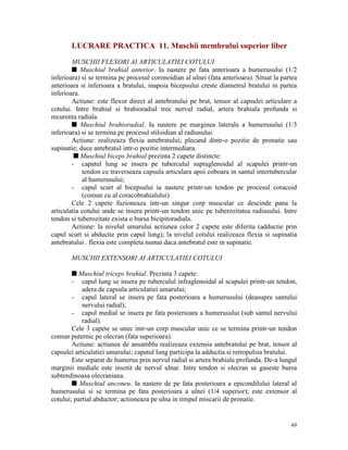 LUCRARE PRACTICA 11. Muschii membrului superior liber
MUSCHII FLEXORI AI ARTICULATIEI COTULUI
s Muschiul brahial anterior. Ia nastere pe fata anterioara a humerusului (1/2
inferioara) si se termina pe procesul coronoidian al ulnei (fata anterioara). Situat la partea
anterioara si inferioara a bratului, inapoia bicepsului creste diametrul bratului in partea
inferioara.
Actiune: este flexor direct al antebratului pe brat, tensor al capsulei articulare a
cotului. Intre brahial si brahioradial trec nervul radial, artera brahiala profunda si
recurenta radiala.
s Muschiul brahioradial. Ia nastere pe marginea laterala a humerusului (1/3
inferioara) si se termina pe procesul stiloidian al radiusului.
Actiune: realizeaza flexia antebratului; plecand dintr-o pozitie de pronatie sau
supinatie; duce antebratul intr-o pozitie intermediara.
s Muschiul biceps brahial prezinta 2 capete distincte:
- capatul lung se insera pe tuberculul supraglenoidal al scapulei printr-un
tendon ce traverseaza capsula articulara apoi coboara in santul intertubercular
al humerusului;
- capul scurt al bicepsului ia nastere printr-un tendon pe procesul coracoid
(comun cu al coracobrahialului).
Cele 2 capete fuzioneaza intr-un singur corp muscular ce descinde pana la
articulatia cotului unde se insera printr-un tendon unic pe tuberozitatea radiusului. Intre
tendon si tuberozitate exista o bursa bicipitoradiala.
Actiune: la nivelul umarului actiunea celor 2 capete este diferita (adductie prin
capul scurt si abductie prin capul lung); la nivelul cotului realizeaza flexia si supinatia
antebratului . flexia este completa numai daca antebratul este in supinatie.
MUSCHII EXTENSORI AI ARTICULATIEI COTULUI
s Muschiul triceps brahial. Prezinta 3 capete:
- capul lung se insera pe tuberculul infraglenoidal al scapulei printr-un tendon,
adera de capsula articulatiei umarului;
- capul lateral se insera pe fata posterioara a humerusului (deasupra santului
nervului radial);
- capul medial se insera pe fata posterioara a humerusului (sub santul nervului
radial).
Cele 3 capete se unec intr-un corp muscular unic ce se termina printr-un tendon
comun puternic pe olecran (fata superioara).
Actiune: actiunea de ansamblu realizeaza extensia antebratului pe brat, tensor al
capsulei articulatiei umarului; capatul lung participa la adductia si retropulsia bratului.
Este separat de humerus prin nervul radial si artera brahiala profunda. De-a lungul
marginii mediale este insotit de nervul ulnar. Intre tendon si olecran se gaseste bursa
subtendinoasa olecraniana.
s Muschiul anconeu. Ia nastere de pe fata posterioara a epicondilului lateral al
humerusului si se termina pe fata posterioara a ulnei (1/4 superior); este extensor al
cotului; partial abductor; actioneaza pe ulna in timpul miscarii de pronatie.

49

 