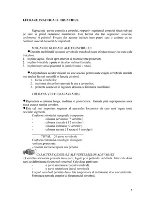 LUCRARE PRACTICA II. TRUNCHIUL

Reprezinta partea centrala a corpului, respectiv segmentul corpului situat sub gat
pe care se prind radacinile membrelor. Este format din trei segmente: toracele,
abdomenul si pelvisul. Fiecare din acestea include intre pereti cate o cavitate cu un
continut visceral deosebit de important.
MISCARILE GLOBALE ALE TRUNCHIULUI
nDatorita mobilitatii coloanei vertebrale trunchiul poate efectua miscari in toate cele
trei plane.
1. in plan sagital- flexie spre anterior si extensie spre posterior;
2. in plan frontal de o parte si de alta- inclinari laterale;
3. in plan transversal pivotand in jurul ei insasi - rotatii.
nAmplitudinea acestor miscari nu este aceeasi pentru toate etajele vertebrale datorita
mai multor factori variabili in functie de nivel:
1. forma vertebrelor;
2. inaltimea discurilor raportate la cea a corpurilor;
3. prezenta coastelor in regiunea dorsala cu limitarea mobilitatii.
COLOANA VERTEBRALA (RAHIS)
nReprezinta o coloana lunga, mediana si posterioara, formata prin suprapunerea unor
piese osoase numite vertebre.
nEste cel mai important segment al aparatului locomotor de care sunt legate toate
celelalte segmente.
Conform criteriului topografic o impartim:
coloana cervicala ( 7 vertebre )
coloana toracala ( 12 vertebre )
coloana lombara ( 5 vertebre )
coloana sacrata ( 1 sacru si 1 coccige )
__________________________________
TOTAL 26 piese vertebrale
Conform criteriului osteologic distingem:
-coloana presacrata
- coloana sacrococcigiana sau pelvina.
CARACTERE GENERALE ALE VERTEBRELOR ADEVARATE
O vertebra adevarata prezinta doua parti, legate prin pediculii vertebrali. Intre cele doua
parti se delimiteaza foramenul vertebral. Cele doua parti sunt:
o parte anterioara (corpul vertebral)
o parte posterioara (arcul vertebral)
Corpul vertebral prezinta doua fete (superioara sI inferioara) sI o circumferinta.
Formeaza peretele anterior al foramenului vertebral.

5

 