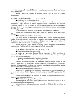 Se intinde de la epicondilul lateral si marginea posterioara a ulnei pana la baza
metacarpianului 5.
Actiune: realizeaza extensia si adductia mainii. Participa slab la extensia
antebratului.
MUSCHII FLEXORI EXTRINSECI AI DEGETELELOR
s Muschiul flexor profund al degetelor
Ia nastere de pe fata anterioara a ulnei si de pe membrana interosoasa a
antebratului. Corpul muscular se imparte in partea mijlocie a antebratului in 4 fascicule
continuate fiecare cu cate un tendon ce trece prin santul carpian si se indreapta spre
degetele II, III, IV si V. Aici perforeaza tendonul flexorului superficial si se termina pe
baza falangei distale.
Pe tendonul acestui muschi la nivelul palmei se insera muschi lombricali .
Actiune: flecteaza falanga distala pe cea mijlocie si participa la flexia celorlalte
falange.
s Muschiul flexor superficial al degetelor
Este situat anterior de precedentul. Ia nastere prin 2 capete: unul pe epicondilul
medial si procesul cornoid al ulnei si altul pe marginea anterioara a radiusului. Formeaza
4 tendoane ce trec prin santul carpian si se dirijeaza apoi spre primele 4 degete si
terminandu-se pe fata anterioara a falangei mijlocii.
Actiune: realizeaza flexia falangei mijlocii pe falanga proximala si a acesteia pe
metacarpiene. Participa la flexia mainii si partial la flexia antebratului.
MUSCHII EXTENSORI EXTRINSECI AI DEGETELOR
s Muschiul extensor comun al degetelor
Ia nastere pe epicondilul humeral lateral, descinde pe fata posterioara a
antebratului si formeaza 4 tendoane terminale. Fiecare tendon se dirijeaza spre un deget
pe care se termina prin 3 ramuri:
- una centrala pe baza falangei proximale si mijlocii;
- 2 laterale ce se reunesc pe baza falangei distale.
Actiune: la nivelul degetelor I-IV realizeaza extensia falangei distale pe cea
medie, a acesteia pe cea proximala, a falangei proximale pe metacarpian si a mainii pe
antebrat. Extensia falangei proximale este puternica in timp ce extensia celorlalte falange
e insuficienta ea fiind completata de interososi.
s Muschiul extensor propriu al degetului V
Are origine pe epicondilul lateral humeral; tendonul sau terminal se uneste cu cel
al extensorului comun destinat degetului V si se insera pe ultimele 2 falange ale degetului
mic.
Actiune: este un extensor al degetului V intarind actiunea extensorului comun.
Participa si la abductia degetului V.
s Muschiul extensor propriu al indexului
Ia nastere pe fata posterioara a ulnei; tendonul sau terminal se uneste cu cel al
extensorului comun destinat indexului.
Actiune: intareste actiunea extensorului comun la nivelul indexului. Participa si la
adductia indexului.

51

 