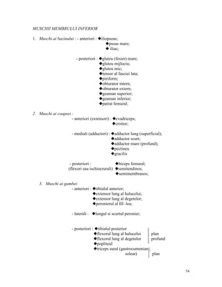 MUSCHII MEMBRULUI INFERIOR
1. Muschi ai bazinului : - anteriori : xiliopsoas;
xpsoas mare;
x iliac;
- posteriori : xgluteu (fesier) mare;
xgluteu mijlociu;
xgluteu mic;
xtensor al fasciei lata;
xpiriform;
xobturator intern;
xobturator extern;
xgeaman superior;
xgeaman inferior;
xpatrat femural;
2. Muschi ai coapsei :
- anteriori (extensori) : xcvadriceps;
xcroitor;
- mediali (adductori) : xadductor lung (superficial);
xadductor scurt;
xadductor mare (profund);
xpectineu
xgracilis
- posteriori :
xbiceps femural;
(flexori sau ischiocrurali) xsemitendinos;
xsemimembranos;
3. Muschi ai gambei:
- anteriori : xtibialul anterior;
xextensor lung al halucelui;
xextensor lung al degetelor;
xperonierul al III -lea;
- laterali : xlungul si scurtul peronier;
- posteriori : xtibialul posterior
xflexorul lung al halucelui
plan
xflexorul lung al degetelor
profund
xpopliteul
xtriceps sural (gastrocumenian ;
solear)
plan

54

 