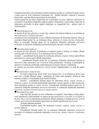 Lungimea psoasului este hotaratoare pentru lungimea pasilor si a sariturii.El poate ridica
coapsa pana la nivel abdominal (sinergistii lui - dreptul femural, croitorul si tensorul
fasciei lata - pot face flexia numai pana la orizontala).
Cand ia punct fix pe femur iliopsoasul are in principal rol static, fiind un stabilizator al
rectitudinii trunchiului (impiedica caderea inapoi a trunchiului si pelvisului). Intervine in
balansarea pelvisului in plan sagital (impreuna cu antagonistii lui - gluteul mare si
ischiocruralii).
g Muschiul gluteu mic
Ia nastere de pe fata gluteala a osului iliac, anterior de fesierul mijlociu si se termina pe
fata anterioara a trohanterului mare.
Actiunea sa este asemanatoare cu cea a fibrelor anterioare ale fesierului mijlociu. Daca se
considera iliacul punct fix, se realizeaza flexia, abductia si rotatia interna a femurului.
Daca se considera femurul punct fix in contractie bilaterala realizeaza anteversia
bazinului; in contractie unilaterala realizeaza inclinare laterala si rotatie externa.
g Muschiul gluteu mijlociu
Ia nastere pe fata gluteala in portiunea ei mijlocie printr-o insertie in evantai; fibrele
converg spre trohanterul mare si se termina pe fata sa externa.
Actiune : - considerand iliacul punct fix realizeaza abductia coapsei si flexia (prin fibrele
anterioare) si extensia (prin fibrele posterioare).
- considerand femurul punct fix, in contractie bilaterala antreneaza bazinul in
anteversie (fata anterioara) sau retroversie (fata posterioara). Actiunea sa principala se
observa in contractie unilaterala cand realizeaza inclinatia laterala a bazinului.
In statiune pe un picior stabilizeaza lateral bazinul impiedicandu-l sa cada de partea
opusa.
gMuschiul tensor al fasciei lata
Se insera superior pe spina iliaca anterosuperioara, si se termina pe fascia lata
care este o banda fibroasa lunga , aplatizata, de forma unei panglici, situata pe fata
externa a coapsei si terminandu-se pe tractul iliotibial.
Actiune : considerand bazinul punct fix determina flexia, rotatia interna si
abductia coapsei. La nivelul genunchiului determina extensia gambei si daca acesta este
fixat antreneaza gamba in rotatie externa. Considerand membrul inferior punct fix, in
contractie bilaterala determina anteversia bazinului; in contractie unilaterala determina
anteversie, inclinare laterala externa si rotatie externa.
g Muschiul fesier mare
Este unul din muschii cei mai voluminosi ai corpului. Este dispus in doua plane:
unul superficial si altul profund. Ia nastere pe fata posterioara a sacrului si coccigelui si
pe fosa iliaca externa (portiunea posterioara). Planul profund se termina pe buza externa
a liniei aspre femurale (portiunea superioara) iar planul superficial pe fascia lata.
Actiunea planului profund
Considerand bazinul punct fix determina extensia coapsei, rotatie externa si
partial adductie.
Considerand femurul punct fix, in contractie bilaterala realizeaza retroversia
bazinului; in contractie unilaterala determina retroversia, rotatiea interna si inclinarea
laterala .

58

 