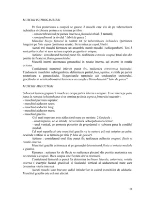 MUSCHII ISCHIOGAMBIERI
Pe fata posterioara a coapsei se gasesc 2 muschi care vin de pe tuberozitatea
ischiadica si coboara pentru a se termina pe tibie :
- semimembranosul pe partea interna a platoului tibial (3 ramuri);
- semitendinosul la nivelul ″ labei de gasca″.
Muschiul biceps femural ia nastere tot pe tuberozitatea ischiadica (portiunea
lunga) si pe linia aspra (portiunea scurta). Se termina pe capul fibulei.
Acesti trei muschi formeaza un ansamblu numit muschii ischiogambieri. Toti 3
sunt poliarticulari si au o actiune cuplata pe gamba si coapsa.
Actiune : considerand bazinul punct fix, realizeaza extensia coapsei (mai ales din
pozitie de flexie) si flexia genunchiului.
Muschii interni antreneaza genunchiul in rotatie interna, cei externi in rotatie
externa.
Considerand membrul inferior punct fix, realizeaza retroversia bazinului.
Tendoanele muschilor ischiogambieni delimiteaza partial fosa poplitee, vizibila pe partea
posterioara a genunchiului. Expansiunile terminale ale tendoanelor croitorului,
gracilisului si semitendinosului formeaza un complex fibros denumit ″ laba de gasca″.
MUSCHII ADDUCTORI
Sub acest termen grupam 5 muschi ce ocupa partea interna a coapsei. Ei se insera pe pube
pana la ramura ischiopubiana si se termina pe linia aspra a femurului succesiv :
- muschiul pectineu superior;
- muschiul adductor scurt;
- muschiul adductor lung;
- muschiul adductor mare;
- muschiul gracilis.
Cel mai important este adductorul mare ce prezinta 2 fascicule :
- unul mijlociu, ce se intinde de la ramura ischiopubiana la femur;
- unul vertical, ce porneste posterior de precedentul si coboara pana la condilul
medial.
Cel mai superficial este muschiul gracilis ce ia nastere cel mai anterior pe pube,
descinde vertical si se termina pe tibie (″ laba de gasca″).
Actiune : considerand osul iliac punct fix realizeaza adductia coapsei, flexie si
rotatie externa.
Muschiul gracilis actioneaza si pe genunchi determinand flexia si rotatia mediala
a gambei.
Remarca : actiunea lor de flexie se realizeaza plecand din pozitia anatomica sau
de extensie a coapsei. Daca coapsa este flectata devin extensori.
Considerand femurul ca punct fix determina inclinare laterala, anteversie, rotatie
externa ( exceptie facand gracilisul si fasciculul vertical al adductorului mare care
determina rotatie interna)
Acesti muschi sunt frecvent sediul intinderilor in cadrul exercitiilor de adductie.
Muschiul gracilis este cel mai afectat.

61

 