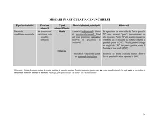 MISCARI IN ARTICULATIA GENUNCHIULUI
Tipul articulatiei

Tipul
miscarii/limite
Flexia

Muschi efectori principali

Obsevatii

- muschi ischiocrurali, dintre
ei semimembranosul fiind
cel mai puternic; secundar
intervin si gracilisul si
croitorul.

Se apreciaza ca miscarile de flexie pana la
70º sunt miscari ″pure″, necombinate cu
alta miscare. Peste 70º din aceste miscari se
combina cu o miscare de rotatie interna a
gambei (pana la 20º). Flexia gambei atinge
un unghi de 130º, iar pasiv gamba poate fi
flectata si mai mult (150º).

- muschiul cvadriceps ajutat
de tensorul fasciei lata.

Sinoviala,
condiliana,uniaxiala

Plan/axa
miscarii
ax transversal
care trece prin
condilii
femurali

Extensia se poate executa numai dintr-o
flexie prealabila si se opreste la 180º.

Extensia

Obsevatie. Exista sI miscari reduse de rotatie mediala sI laterala, asociate flexiei si extensiei, pentru care nu exista muschi speciali. In mod pasiv se pot realiza si
miscari de inclinare laterala si mediala. Patologic, pot apare miscari ″de sertar″ sau ″de lateralitate.″

74

 