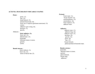 ACTIUNEA MUSCHILOR IN MISCARILE COAPSEI
Flexie :
psoas (1);
iliac (2);
drept femural (3);
tensorul fasciei lata (4);
fesier mic si mijlociu (portiunea anterioara) (5).
croitor;
adductor scurt si lung (6);
pectineu (7);
gracilis.
Abductie :
fesier mijlociu (1);
fesier mic (2);
deltoid fesier (3);
piramidal;
oblierator intern si extern;
gemeni;
croitor.

Rotatie interna :
fesier mijlociu (1);
fesier mic (2);
tensor al fasciei lata (3).

Extensie :
Fesier mare (1);
biceps femural (2);
semimembranos (3);
semitendinos (4);
fesier mijlociu (5);
adductor mare.
Adductie :
adductor mare (1);
adductor lung (2);
adductor scurt (3);
pectineu (4);
gracilis (5);
psoas (6);
iliac (7);
biceps femural;
planul profund al fesierului mare.
Rotatie externa :
piramidal;
obturator intern si extern;
gemeni;
patrat femural;
biceps lung;
adductori.

77

 