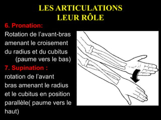 LES ARTICULATIONS
LEUR RÔLE
6. Pronation:
Rotation de l’avant-bras
amenant le croisement
du radius et du cubitus
(paume vers le bas)
7. Supination :
rotation de l’avant
bras amenant le radius
et le cubitus en position
parallèle( paume vers le
haut)
 