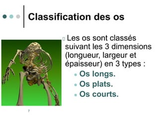 7
Classification des os
Les os sont classés
suivant les 3 dimensions
(longueur, largeur et
épaisseur) en 3 types :
● Os longs.
● Os plats.
● Os courts.
 