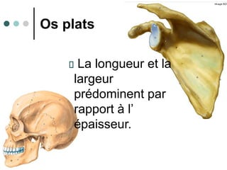 9
Os plats
La longueur et la
largeur
prédominent par
rapport à l’
épaisseur.
 