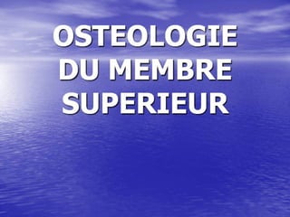 Anatomie  osteologie du membre superieur