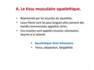 4
A. Le tissu musculaire squelettique.
• Représenté par les muscles du squelette.
• Leurs fibres sont les plus longues elles portent des
bandes transversales appelées stries.
• Ces muscles sont appelés muscles volontaires.
Soumis à la volonté.
• Squelettique-Strié-Volontaire.
• Force, adaptation, fatigabilité.
 
