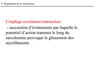V/ Régulation de la contraction
Couplage excitation/contraction:
- succession d’événements par laquelle le
potentiel d’action transmis le long du
sarcolemme provoque le glissement des
myofilaments
 