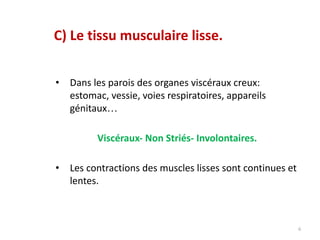 6
C) Le tissu musculaire lisse.
• Dans les parois des organes viscéraux creux:
estomac, vessie, voies respiratoires, appareils
génitaux…
Viscéraux- Non Striés- Involontaires.
• Les contractions des muscles lisses sont continues et
lentes.
 