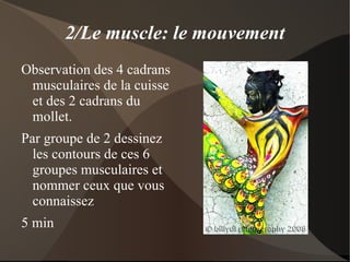 2 ménisques posés sur les plateaux tibiaux 