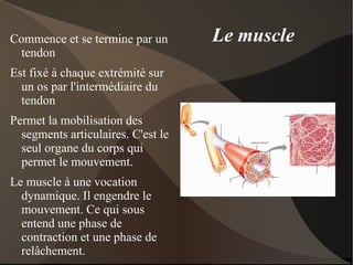 Les ostéoblastes fabriquent du tissu osseux pendant que les ostéoclastes en détruisent: d'où un renouvellement cellulaire constant. 
