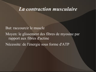 Croissance osseuse La croissance en longueur part de la zone de cartilage de croissance. 