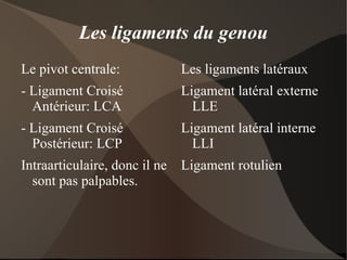 - os plat: omoplate OS: différentes morphologies 