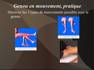 OS Réagit en fonction des contraintes imposées par l'activité physique et l'apesanteur. 