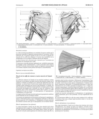 Anatomie radiologique de l'épaule | PDF