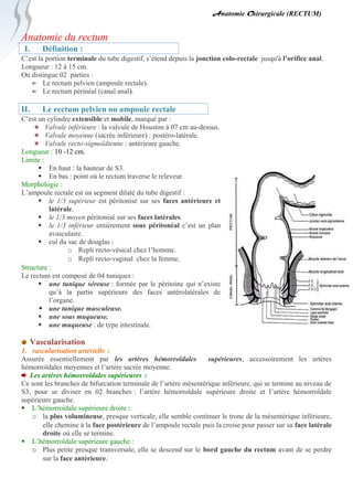 Anatomie Rectum.docxAnatomie Rectum.docx