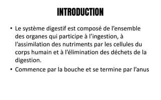 INTRODUCTION
• Le système digestif est composé de l’ensemble
des organes qui participe à l’ingestion, à
l’assimilation des nutriments par les cellules du
corps humain et à l’élimination des déchets de la
digestion.
• Commence par la bouche et se termine par l’anus
 
