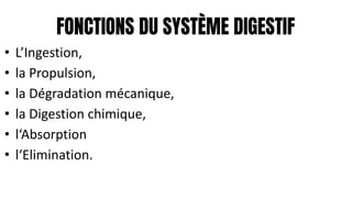 FONCTIONS DU SYSTÈME DIGESTIF
• L’Ingestion,
• la Propulsion,
• la Dégradation mécanique,
• la Digestion chimique,
• l‘Absorption
• l‘Elimination.
 