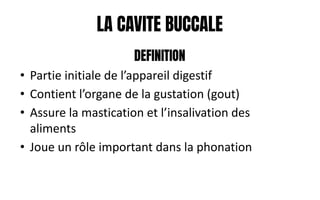 LA CAVITE BUCCALE
DEFINITION
• Partie initiale de l’appareil digestif
• Contient l’organe de la gustation (gout)
• Assure la mastication et l’insalivation des
aliments
• Joue un rôle important dans la phonation
 