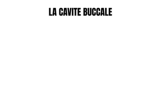 LA CAVITE BUCCALE
 