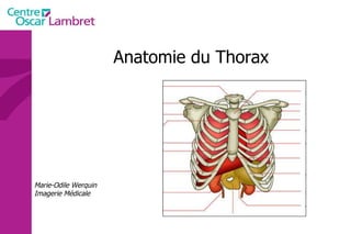 Anatomie du Thorax Marie-Odile Werquin Imagerie Médicale 