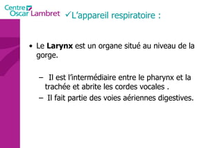 Le  Larynx  est un organe situé au niveau de la gorge.  Il est l’intermédiaire entre le pharynx et la trachée et abrite les cordes vocales . Il fait partie des voies aériennes digestives. L’appareil respiratoire : 