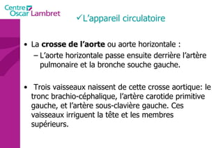 La  crosse de l’aorte  ou aorte horizontale :  L’aorte horizontale passe ensuite derrière l’artère pulmonaire et la bronche souche gauche. Trois vaisseaux naissent de cette crosse aortique: le tronc brachio-céphalique, l’artère carotide primitive gauche, et l’artère sous-clavière gauche. Ces vaisseaux irriguent la tête et les membres supérieurs. L’appareil circulatoire 