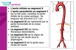 L’aorte initiale ou segment 0 L’aorte ascendante ou segment I  qui lui fait suite, constitue la partie initiale de la crosse aortique . Sa longueur est d'environ 6 à 7 cm. Le segment II  est représenté par la partie horizontale de la crosse aortique . Le segment III  est l’aorte thoracique descendante. Le segment IV  est la région de l’aorte qui est située sous le diaphragme  Le segment V  est la partie sous rénale de l’aorte  L'aorte                                                                      