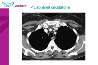 L’appareil circulatoire 