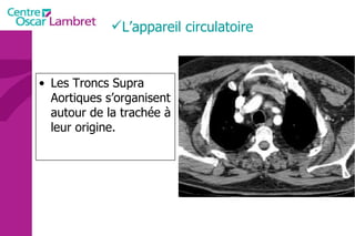 Les Troncs Supra Aortiques s’organisent autour de la trachée à leur origine. L’appareil circulatoire 