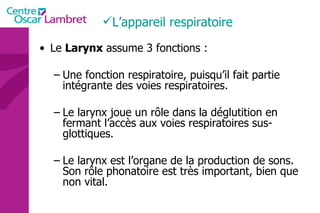 L’appareil respiratoire  Le  Larynx  assume 3 fonctions : Une fonction respiratoire, puisqu’il fait partie intégrante des voies respiratoires. Le larynx joue un rôle dans la déglutition en fermant l’accès aux voies respiratoires sus-glottiques. Le larynx est l’organe de la production de sons. Son rôle phonatoire est très important, bien que non vital. 