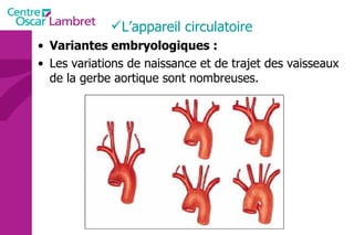 Variantes embryologiques : Les variations de naissance et de trajet des vaisseaux de la gerbe aortique sont nombreuses.  L’appareil circulatoire 