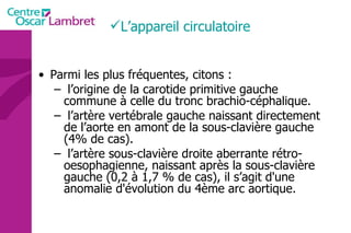 Parmi les plus fréquentes, citons :  l’origine de la carotide primitive gauche commune à celle du tronc brachio-céphalique. l’artère vertébrale gauche naissant directement de l’aorte en amont de la sous-clavière gauche (4% de cas). l’artère sous-clavière droite aberrante rétro-oesophagienne, naissant après la sous-clavière gauche (0,2 à 1,7 % de cas), il s’agit d'une anomalie d'évolution du 4ème arc aortique.  L’appareil circulatoire 