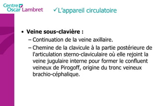 Veine sous-clavière : Continuation de la veine axillaire. Chemine de la clavicule à la partie postérieure de l'articulation sterno-claviculaire où elle rejoint la veine jugulaire interne pour former le confluent veineux de Pirogoff, origine du tronc veineux brachio-céphalique.  L’appareil circulatoire 