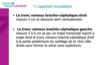 Le tronc veineux brachio-céphalique droit  mesure 3 cm et descend semi verticalement.  Le tronc veineux brachio-céphalique gauche  mesure 5 à 6 cm et par un trajet horizontal rejoint à angle droit le tronc veineux brachio-céphalique droit à la partie postérieure du cartilage de la 1ère côte droite pour former la veine cave supérieure.  L’appareil circulatoire 